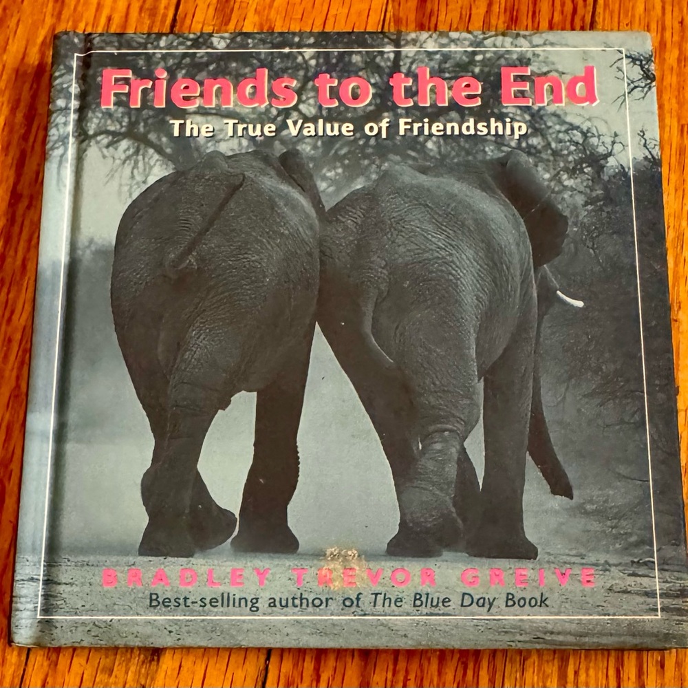 Friends to the End Book